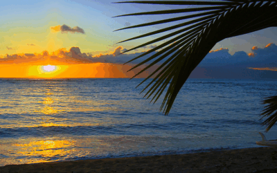 Exploring Backwaters