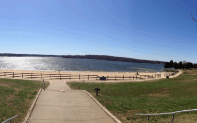 A Peaceful Morning Walk