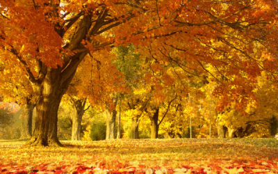 First Blog